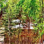 Herdade Clube Tiro Шале Монфортинью