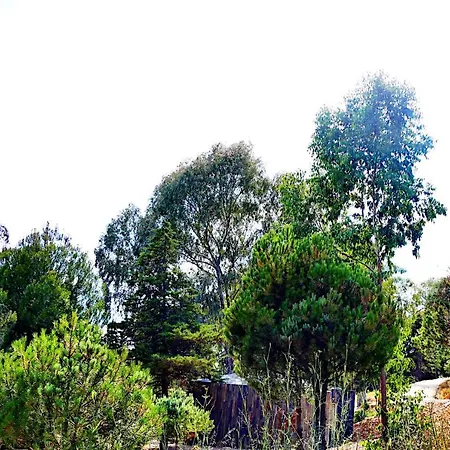 Herdade Clube Tiro Chalet Monfortinho