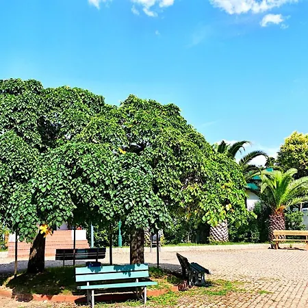Chalé Herdade Clube Tiro