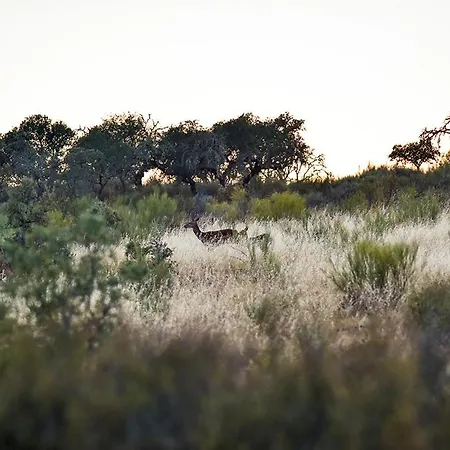 Herdade Clube Tiro Chalet