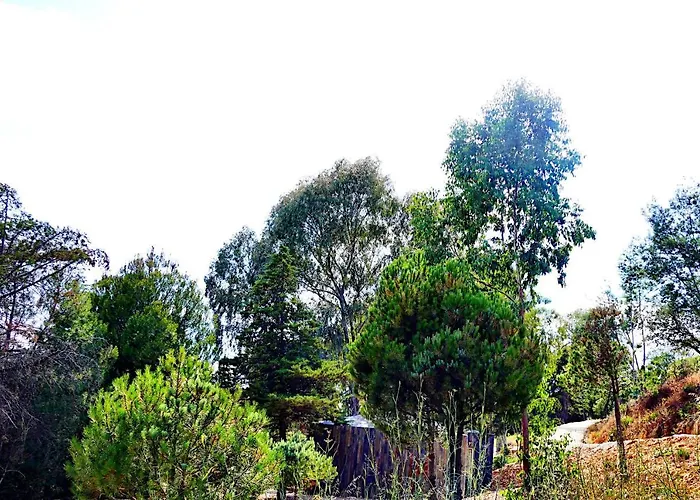 Herdade Clube Tiro בקתה מונפורטיניו