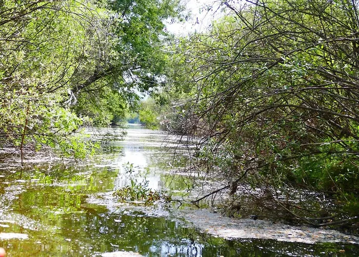 Herdade Clube Tiro מונפורטיניו