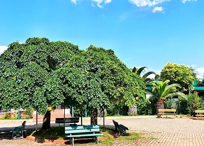 شاليه Herdade Clube Tiro
