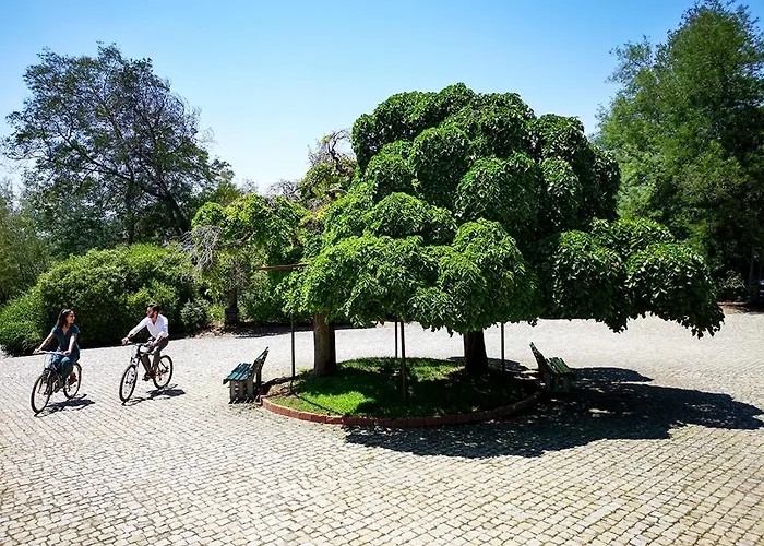 Herdade Clube Tiro *